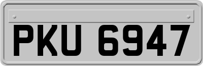 PKU6947