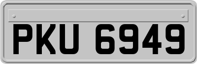 PKU6949