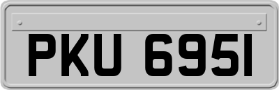 PKU6951