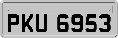 PKU6953