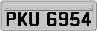 PKU6954