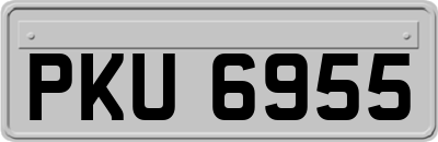 PKU6955