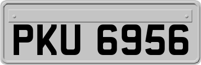 PKU6956