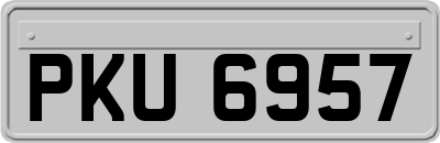 PKU6957