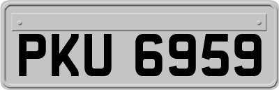 PKU6959
