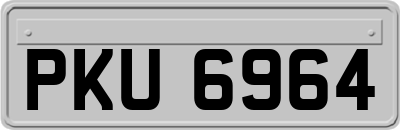 PKU6964