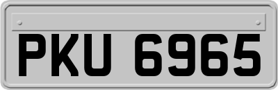 PKU6965