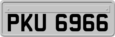 PKU6966
