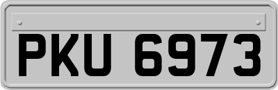 PKU6973