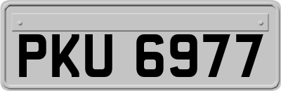 PKU6977