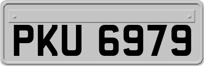 PKU6979
