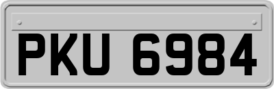 PKU6984