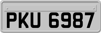 PKU6987