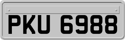 PKU6988