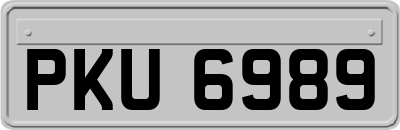 PKU6989