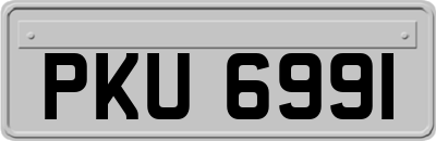PKU6991