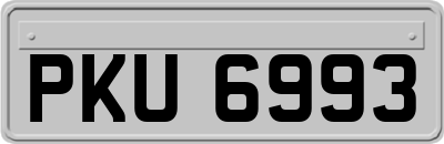 PKU6993