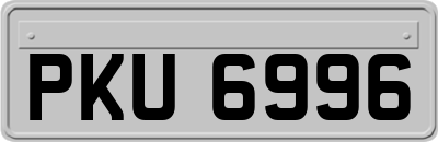 PKU6996