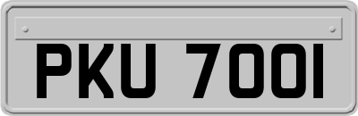 PKU7001