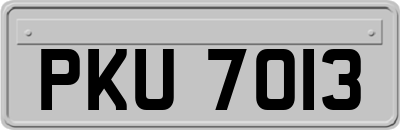 PKU7013