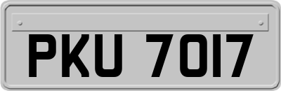 PKU7017