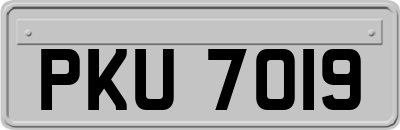 PKU7019