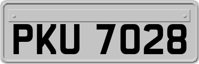 PKU7028
