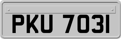 PKU7031