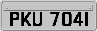 PKU7041