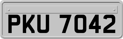 PKU7042