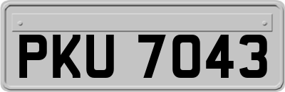 PKU7043