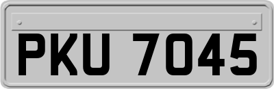 PKU7045