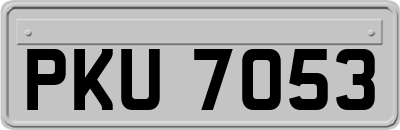 PKU7053