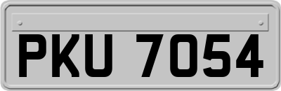 PKU7054
