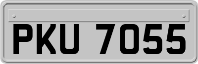 PKU7055