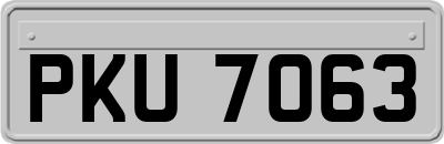 PKU7063