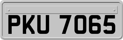 PKU7065