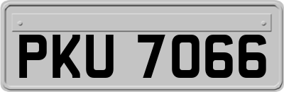 PKU7066