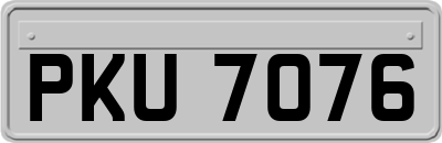 PKU7076