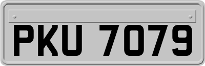 PKU7079