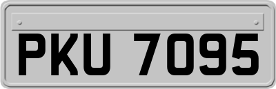 PKU7095