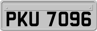 PKU7096