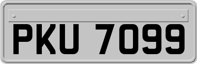 PKU7099