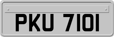 PKU7101