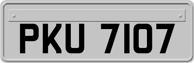 PKU7107