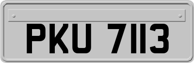 PKU7113