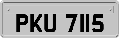 PKU7115