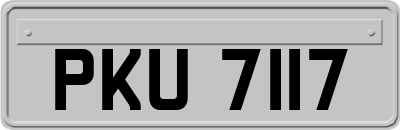 PKU7117