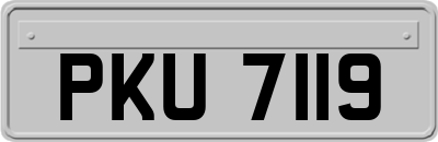 PKU7119