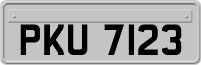 PKU7123